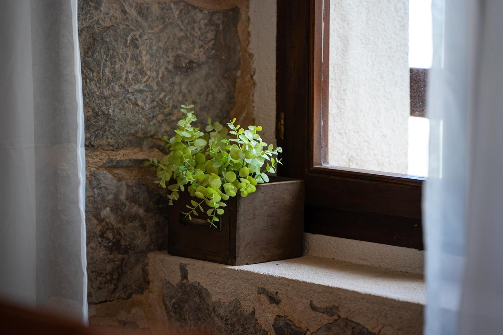 Apartment Gorazda Kotor